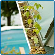 gouttière obstruée